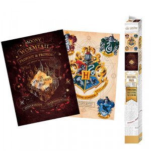 set 2 postere Harry Potter