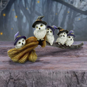 Statueta bufnite Feathered Broomstick 26 cm - Img 7