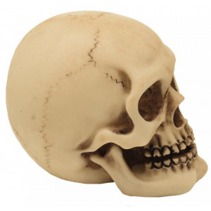 Statueta Craniu 8cm - Img 2