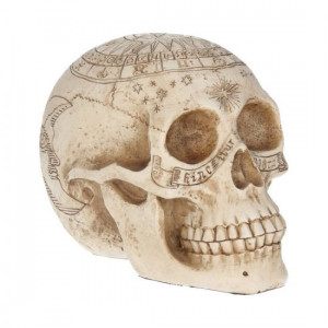 Statueta Craniu astrologic 20 cm