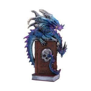 Statueta O poveste a dragonilor 22 cm
