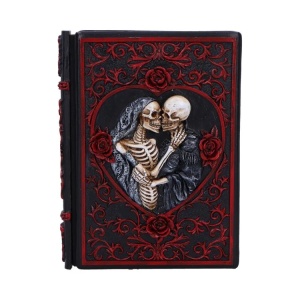 Agenda / Jurnal cu coperti din rasina Lovers Grimoire – colectie gothic fantasy, 19 cm