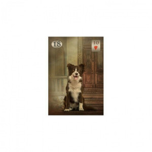 Carti Oracol Thelema Lenormand - Img 5