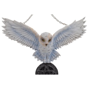 Decoratiune cu agatatoare pentru perete Bufnita cu Pentagrama 25cm - Img 5