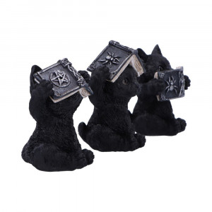 Set Trei pisicute vrajitoare intelepte 8.5 cm - Img 3