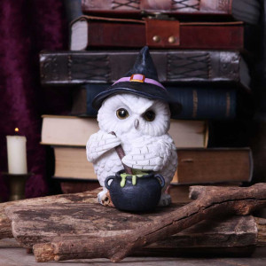 Statueta bufnita Owl Potion 17.5cm - Img 7