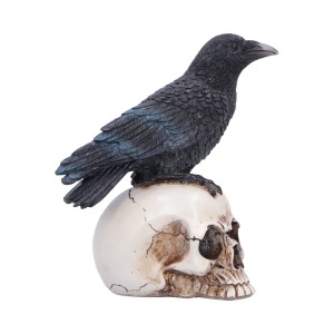 Statueta Corb pe Craniu Nevermore Vigil – decor gotic si fantasy, 19.5 cm - Img 3