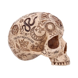 Statueta Craniu Apothecary – decor gotic si decor fantasy, 14 cm - Img 3
