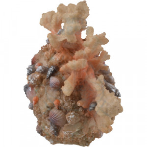 Statueta craniu Coral 18cm - Img 2