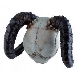 Statueta craniu demon Havoks Hellion 26cm - Img 6