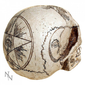 Statueta craniu Spirite 20 cm - Img 3