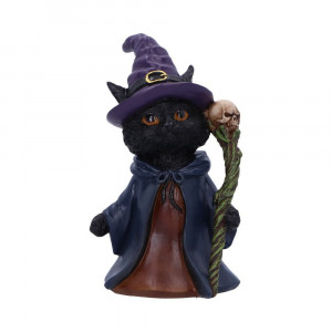Statueta pisicuta Whiskered Wizard O pisicuta infricosator de adorabila!  Turnata din rasina de cea mai buna calitate si pictata manual, aceasta dragalasa pisicuta vrajitoare este perfecta pentru a inveseli ziua pasionatilor stilului gotic.