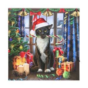 Tablou canvas cu led Krampuss 30x30 cm