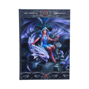 Agenda / Jurnal fantasy cu coperti cartonate, The Dragon Mage - Anne Stokes, 17.7 cm
