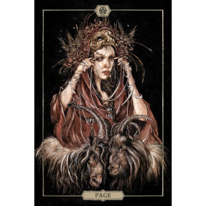 Carti Hush Tarot, Jeremy Hush, US Games Systems - Img 7