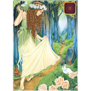 Carti tarot Dreams Of Gaia - Img 6