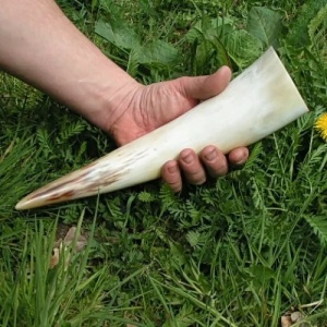 Corn viking de baut 0.4 l Trinkhorn