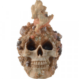 Statueta craniu Coral 18cm - Img 3