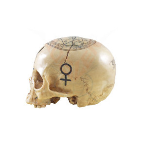 Statueta craniu The Necromancer 18cm - Img 2