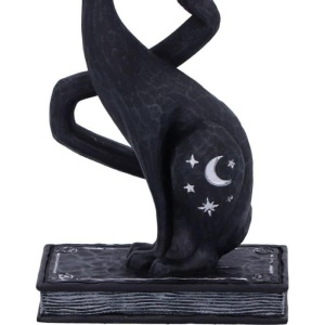 Statueta pisicuta neagra Enchant - decor gotic cu pisici si vraji, 17 cm - Img 6