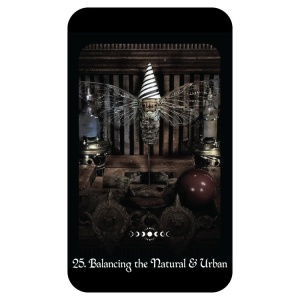 Carti Oracol A Gothic Witch's Oracle – magie, intuitie si shadow work, 40 carti + ghid - Img 5