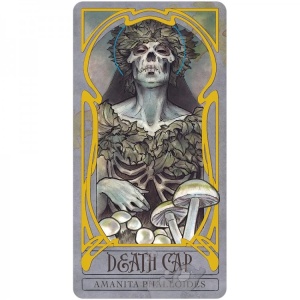 Carti Oracol Lady Stirling's Wicked Garden – gradina plantelor misterioase, set deluxe cu 32 carti - Img 11