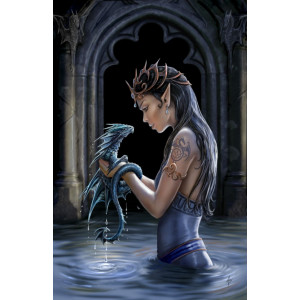 Felicitare mica zana si dragon Dragonul de apa