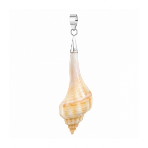 Pandantiv Melc de mare natural, argint 925 – evolutie si armonie, 5.6 cm