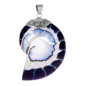 Pandantiv Nautilus negru, argint cu cochilie naturala – evolutie si armonie, 5.3 cm