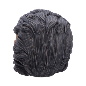 Statueta craniu Hall of Horrors: The Beast of the Moon – decor gotic si decor fantasy, 16 cm - Img 3