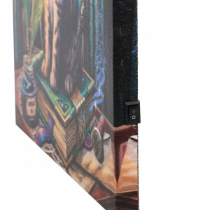 Tablou canvas cu led pisicuta Book of Shadows - Lisa Parker, 30x30cm - Img 2