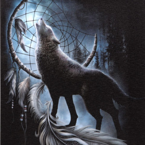 Tablou canvas lup, Din intuneric 19x25cm - Spiral Direct - Img 3