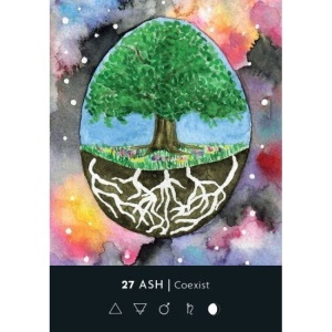 Carti Oracol The Ritual Deck - Cassie Uhl - Img 5