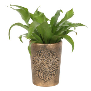 Ghiveci teracota pentagrama Green Man, Lisa Parker