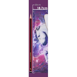 Portofel lung embosat Pegasus sub luna, Mythical Flight – Nemesis Now (18.5 cm) - Img 8
