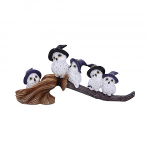 Statueta bufnite Feathered Broomstick.  Bufnita ca si simbol reprezinta capacitatea de a putea vedea clar drumul in viata, chiar prin cele mai intunecate perioade. Aduce claritate, intuitie si o conexiune puternica cu lumea mistica.