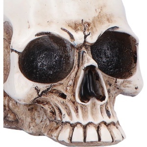 Statueta Corb pe Craniu Nevermore Vigil – decor gotic si fantasy, 19.5 cm - Img 4
