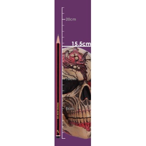 Statueta craniu Hall of Horrors: The Walker of Death – decor gotic si decor fantasy, 15.54 cm - Img 8