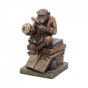 Statueta/ Cutie bijuterii Studiul Teoriei Evolutiei 17.5 cm - Img 1