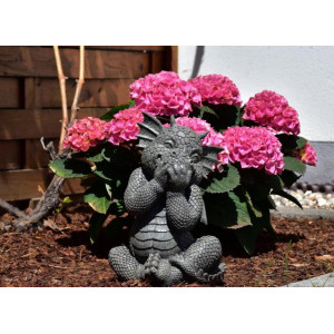 statueta dragonel razand