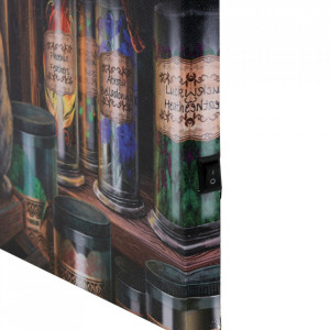Tablou canvas cu led Magical Emporium - Lisa Parker, 30x30cm - Img 3