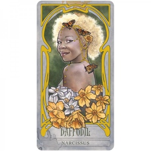 Carti Oracol Lady Stirling's Wicked Garden – gradina plantelor misterioase, set deluxe cu 32 carti - Img 5