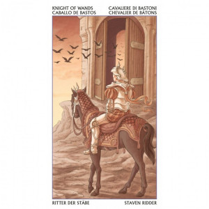 Carti Tarotul celor 78 de usi - Img 2