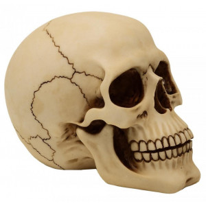 Statueta Craniu 18cm - Img 2