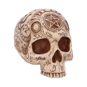 Statueta Craniu Apothecary – decor gotic si decor fantasy, 14 cm