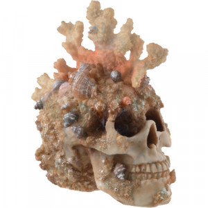 Statueta craniu Coral 18cm - Img 1