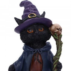 Statueta pisicuta Whiskered Wizard 14 cm - Img 5