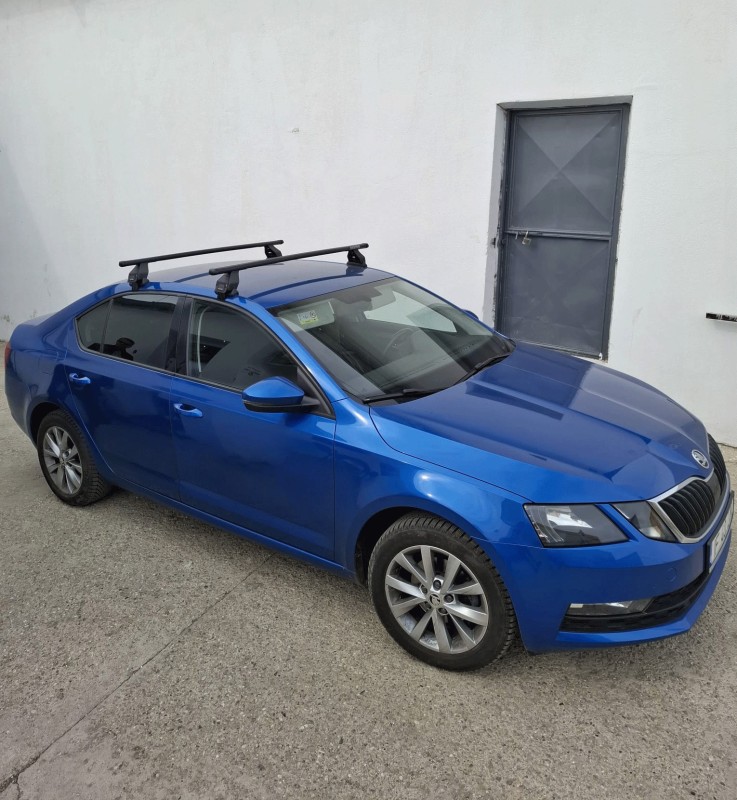 Skoda Octavia bare transversale Menabo Tema Otel