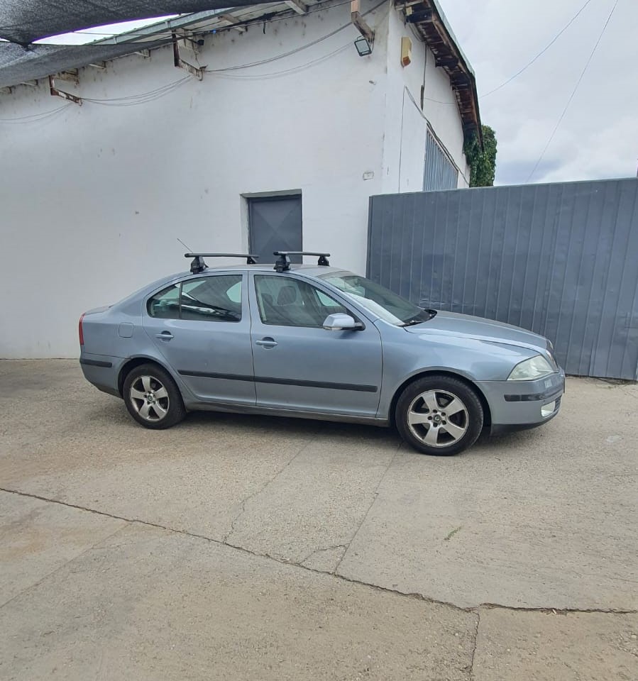 Skoda Octavia bare portbagaj Menabo Tema otel