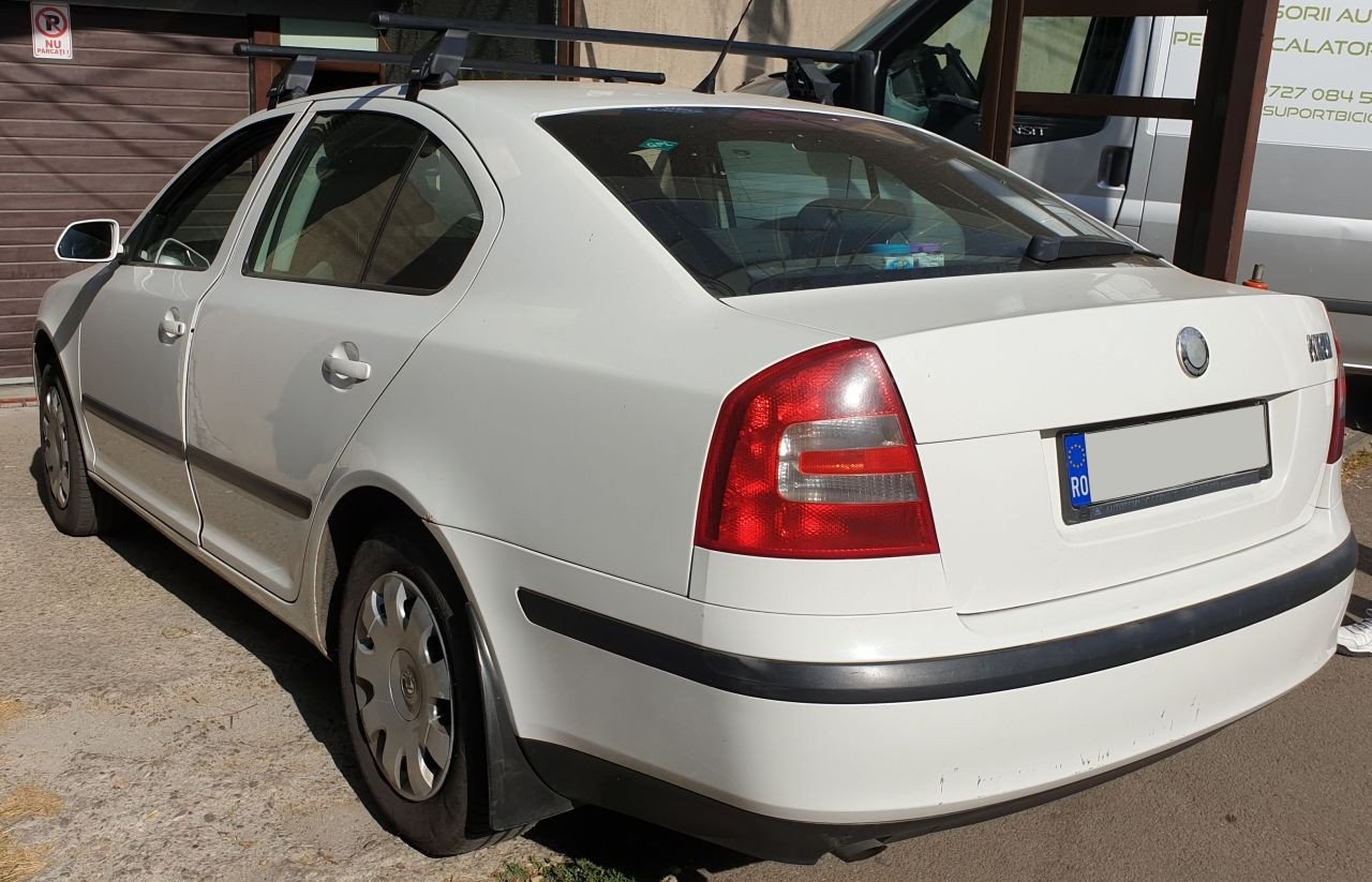 Skoda Octavia with Menabo Tema roof bars